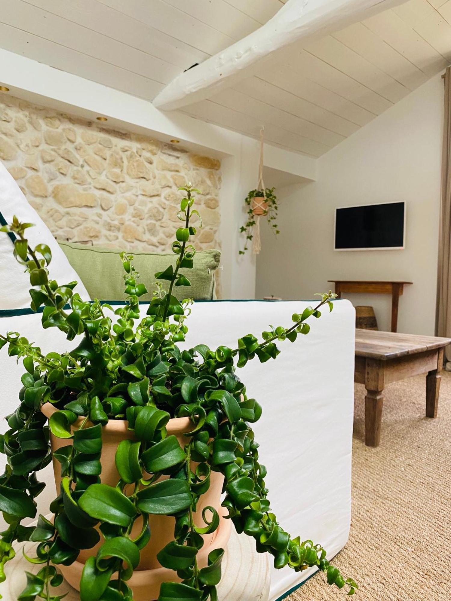 Appartamento La Bastide De Guiche Entre Ocean Et Montagnes Esterno foto