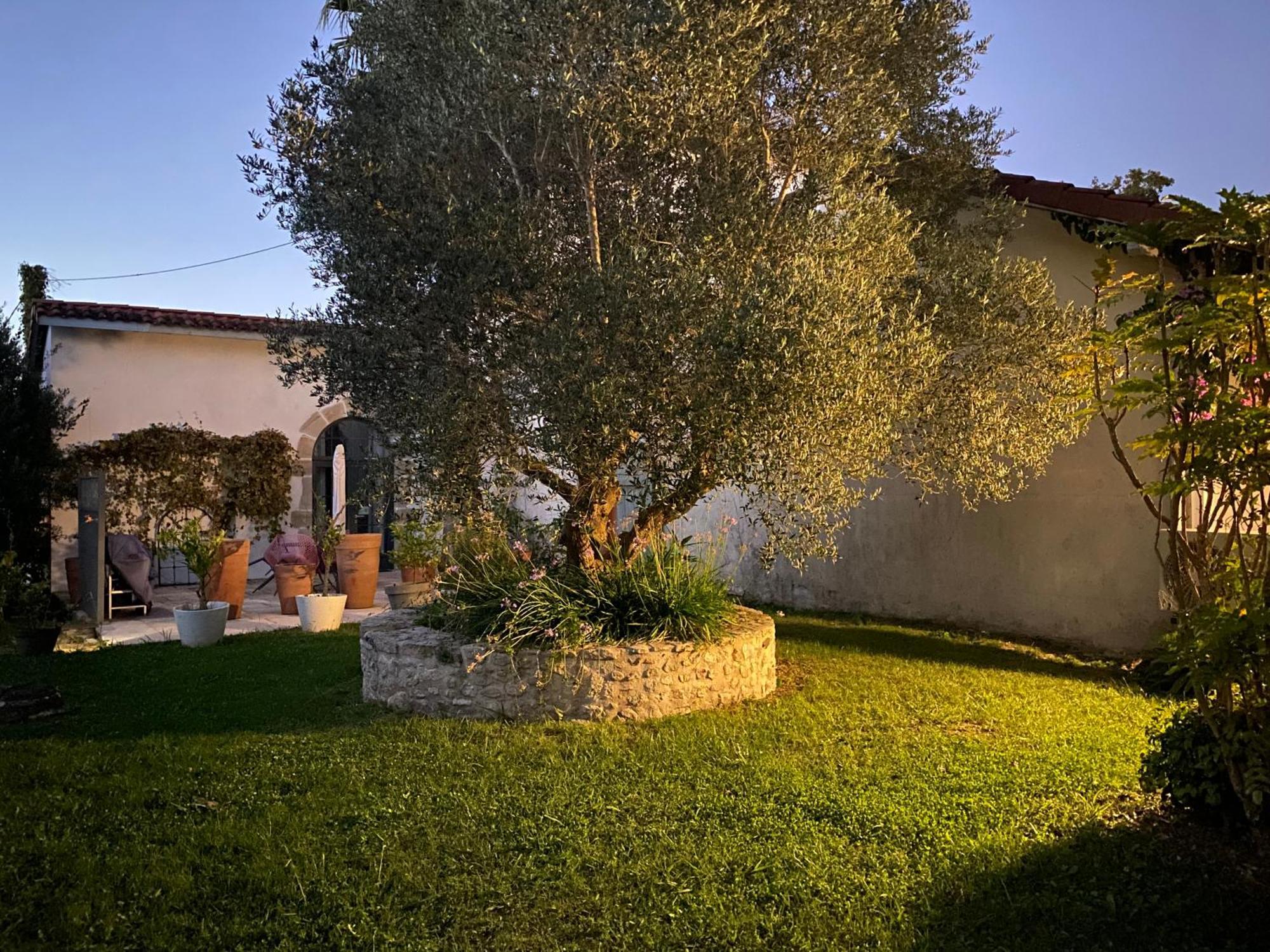 Appartamento La Bastide De Guiche Entre Ocean Et Montagnes Esterno foto